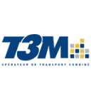 T3M